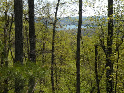 High Camp View